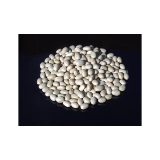 Navy Beans (Haricot) 1kg