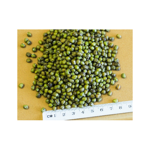 Mung Beans Organic 1kg