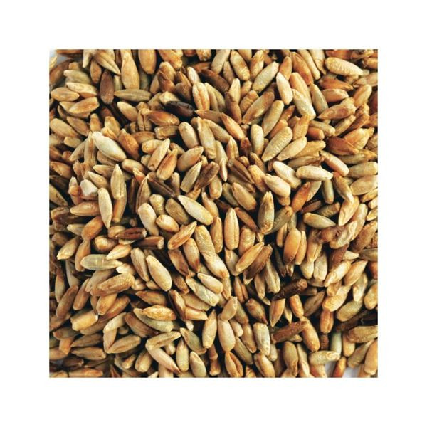 Organic Rye Grain 1kg